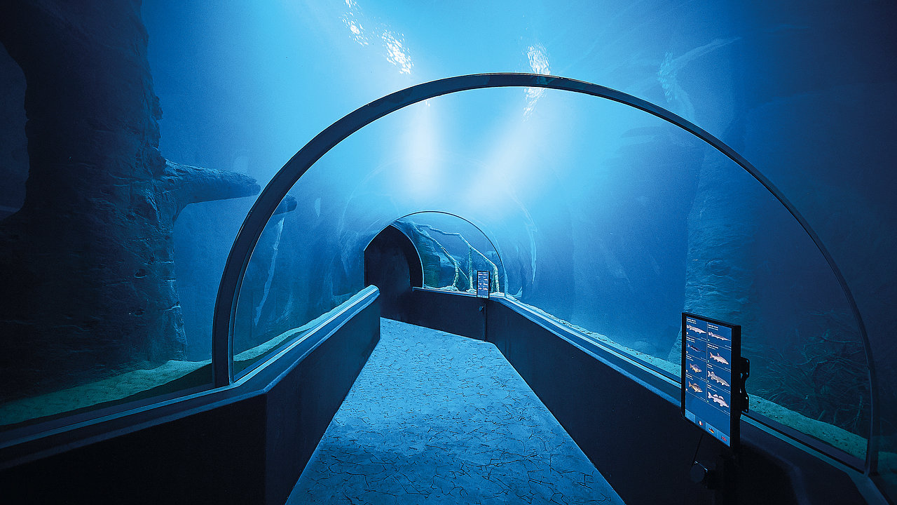 Fascination en eau douce à l'AQUATIS Aquarium-Vivarium Lausanne