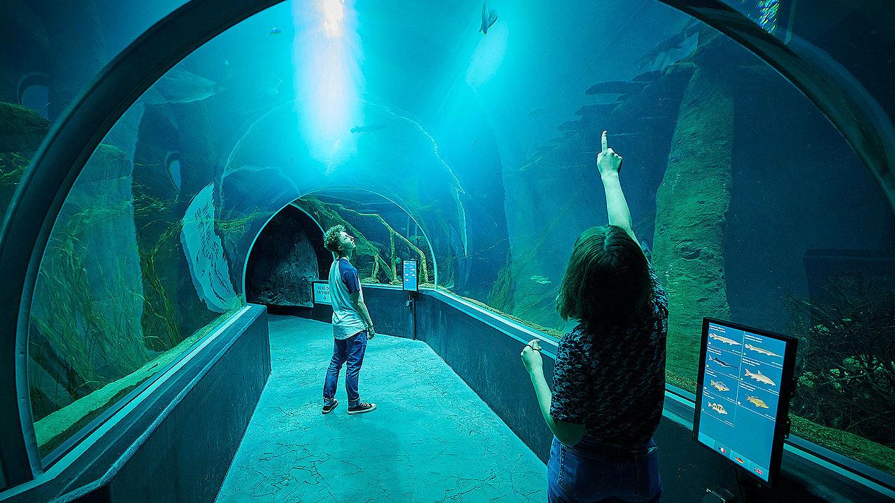 Fascination en eau douce à l'AQUATIS Aquarium-Vivarium Lausanne