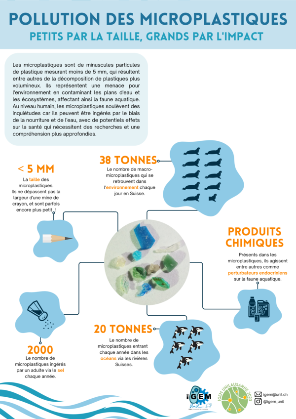 Pollution-microplastiques-fr