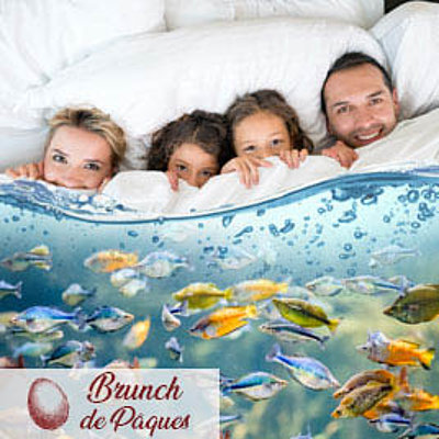 Pauschalangebot Immersion -10% mit Eiersuche