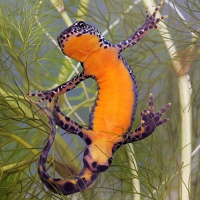 3ème Conservation Day